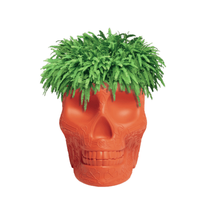 10-qeeboo-mexico-planter-champagne-cooler-by-studio-job-terracotta